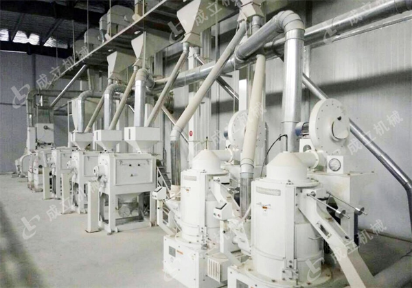 日产150吨成套碾米机设备