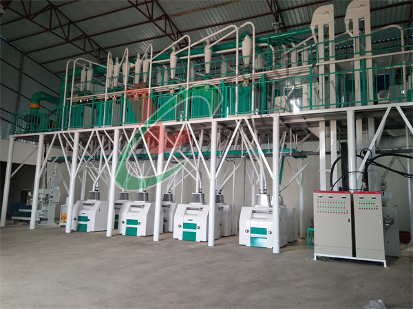 80吨级玉米加工设备